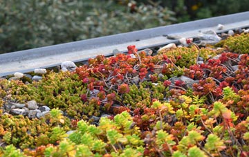 the cost of Killiecrankie green roof installation